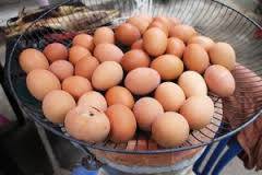 incubadora de huevos