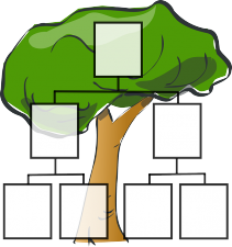 árbol genealógico esquema
